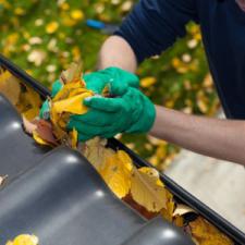 5 Reasons to Have Your Gutters Professionally Cleaned